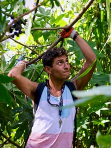 Explore more: Island Service