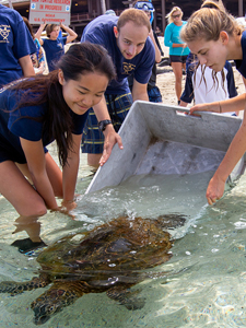 Explore more: Signature Programs