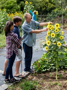 Sustainability at HPA, middle school garden