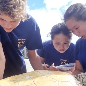 Signature programs at HPA, Sea Turtle Research Program