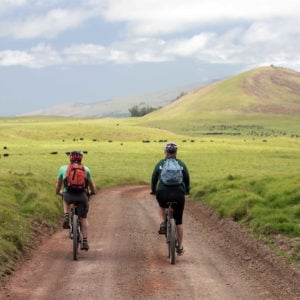 Riding back to Waimea on Mana Road, 2019