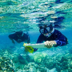 Coral reef study, middle school
