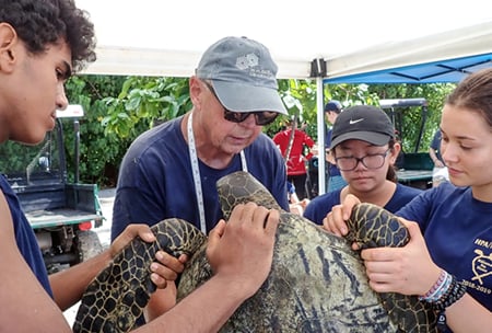 Sea Turtle Research at HPA
