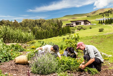 Sustainability at HPA