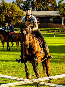 Equestrian program upper school at HPA