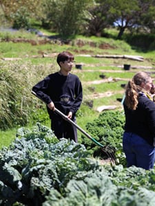 Afternoon Co-Curriculars, upper school at HPA
