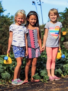 Sustainability lower school