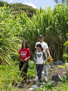 Sustainability at HPA