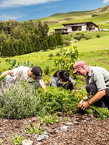 Sustainability at HPA, upper campus garden