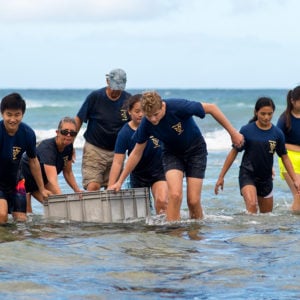 Signature programs at HPA, Sea Turtle Research Program