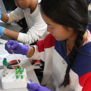 Signature programs at HPA, Sea Turtle Research Program