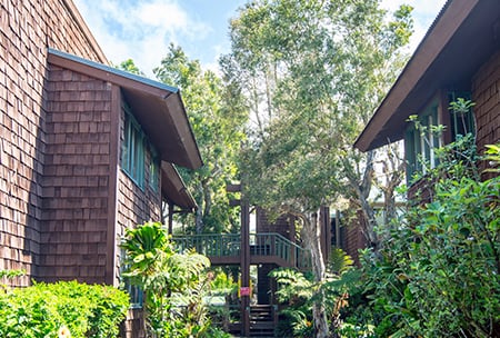 Village campus academic buildings